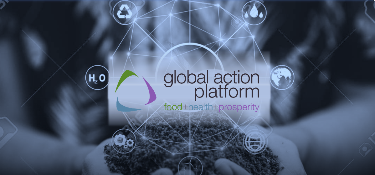 p. 46 GAP + B&W best