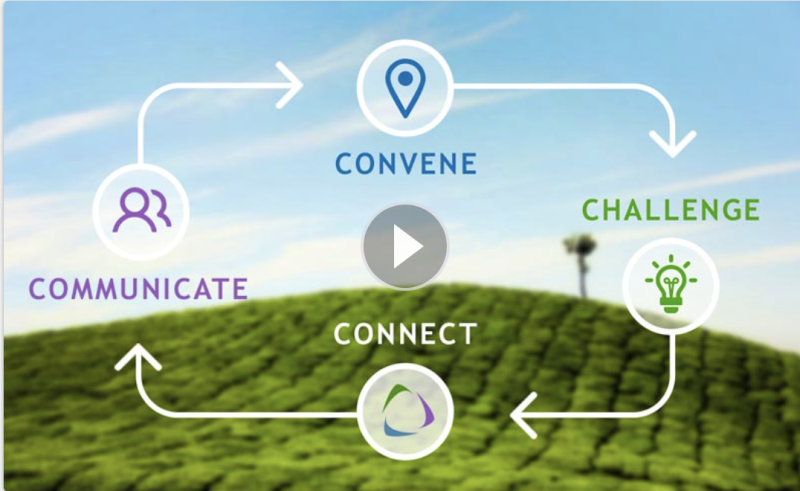 p. 48 - (Better image to come) - FPO - GAP image re convene, communicate, challenge, connectScreen Shot 2023-12-16 at 4.21.54 PM